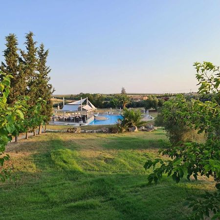 Janis Seaview Villa Néa Fókaia Kültér fotó